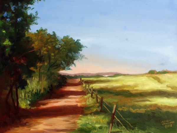 Paisagem de campo em Formiga