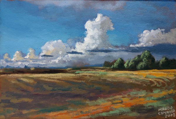 Paisagem de campo com caminho laranja