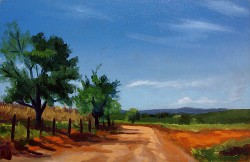Paisagem de Campo em Formiga