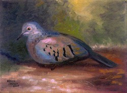 O Pombo