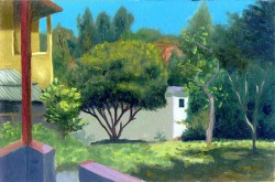 O Quintal de Márcio Camargo